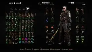 The Witcher 3:Wild hut starting a NG + at level 100 ALL grade master Witcher gear and stats