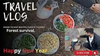 Cooking in the Wild: A Forest Adventure!