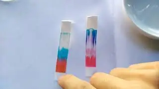 Cromatografía en papel: 2) Separación de pigmentos