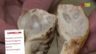 Go Food Community - Diego Vitagliano della Pizzeria 10 (Aprile 17)