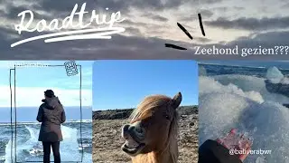 Wij gaan naar ijsland !! ❄️🗻 #vlog3