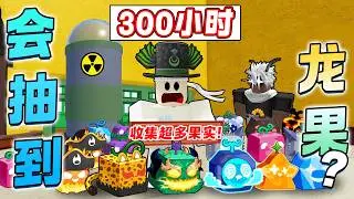 ROBLOX BloxFruit 海賊王 300小时收集超多果实！有几率拿到龙果？还抽到红果和传送！所有果实放满在厨和地上！抽到豹果实！打300小时的辐射场抽到红果？