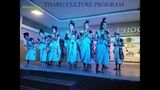 Tharu cultural Program | Cultural program in Chitwan | Tharu stick dance | Chitwan National Park