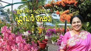 365 ദിവസവും സ്വന്തം വീട്ടിൽ ഫ്ലവർ ഷോ നടത്തുന്ന വീട്ടമ്മ l സ്വപ്നതുല്യം ഈ ഹോം ഗാർഡൻ l 2026