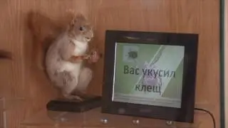 Музей гигиены