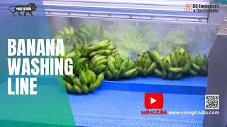 Automatic Banana Washing Line 2025  High-Speed Industrial Fruit Cleaning System  SS Engineers India