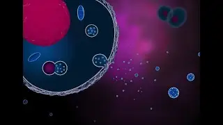 Scientist Stories: Jennifer Petersen & Joshua Zimmerberg, Exosome Biogenesis & RNA Communication