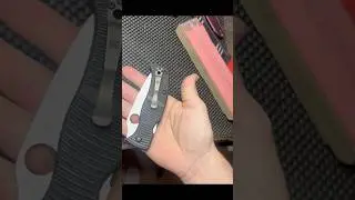 Ultimate Salt Knife!? Spyderco Salt Leaf LC200n: Rust proof gimmick or EDC UPGRADE? #spydercoknives