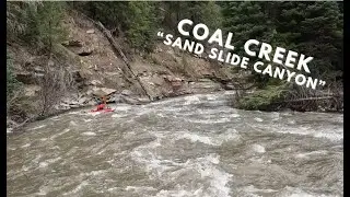 Coal Creek- 