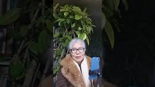 [ 정치코멘트 라이브 방송]'윤석열 10년 구형' 與 