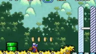 mega rex island 1