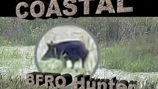 BFRO Hunter I Activity from Intracoastal Sasquatch sightings- Dazzle You Bigfoot