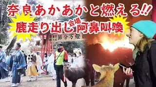 奈良 鹿大逃走で会場悲鳴！伝統行事に20万人！厳かな神事とあかあかと燃える山焼き外国人を魅了!!若草山 