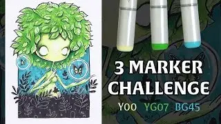 The 3 marker challenge [BG45, YG07 and Y00]