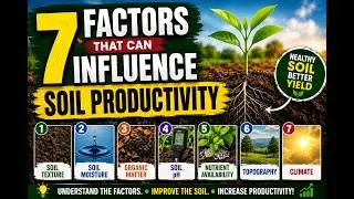 7 FACTORS THAT CAN INFLUENCE SOIL PRODUCTIVITY