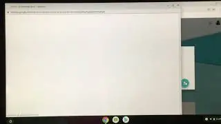 Chrome Support Guide for first time users