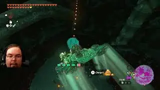 TOTK! The adventure begins! #totk #firstplaythrough #tearsofthekingdom  #botw  #zelda #link