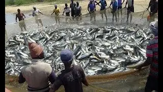 5 Best Fishing Videos Ever | Amazing Net #Fishing in Ocean 2018