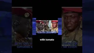 VlogND: News & Docs Unfiltered, Headlines, Stories, The World Uncovered, Insights, reports and vlogs