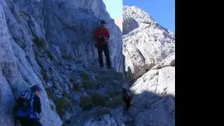 FRIERO