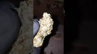 J27 909 Inzane lilac diesel pre trim preview 4