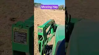 Mowing down a part of the field to use as animal bedding and compost. #mowing #hay