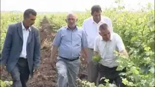 Azerbaijan Agriculture - The World Bank