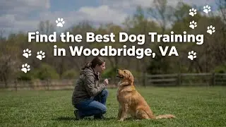 Find the Best Dog Training in Woodbridge   VA Virginia