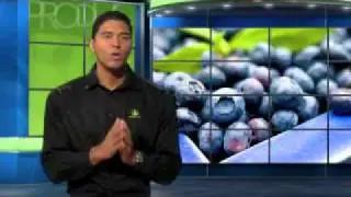 Herbalife: Formula 1 Allergen-Free Nutritional Shake Mix in Vanilla