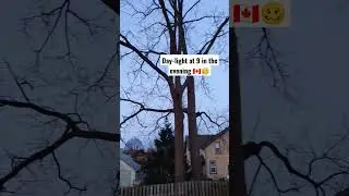 Canada | India weather difference|#desi #canadalife #punjab #punjabi #moreviews #shorts #canadavisa