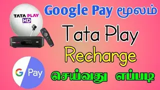 Gpay Tataplay Recharge in Tamil | How to Tataplay Recharge in Google Pay | TMM Tamilan