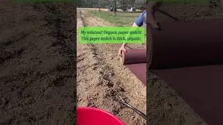 Paper Mulch: The Organic Solution to Weeds!