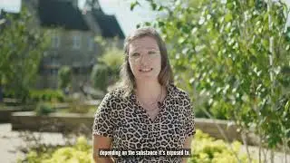 Let&rsquo;s Talk About Drug Checking