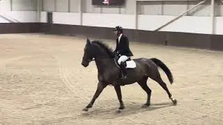 Leestone Nicolas | 1.30m Addington