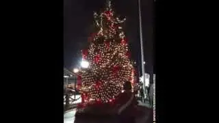 Calabash Christmas tree lighting 12/6/13