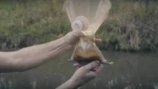 Puribag: Life-saving water