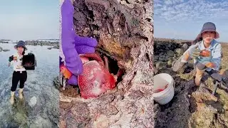 Catch a crab in a hole | Crab catching video #crab #fishing #catching #hunting