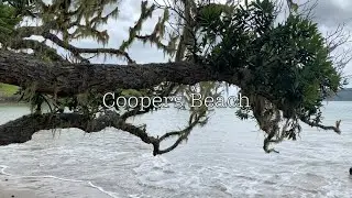 Coopers Beach