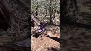 Gardner Canyon Rd , AZ camping