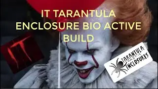 IT TARANTULA ENCLOSURE FULL BIO ACTIVE REBUILD