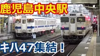 【キハ47集結！】夜の鹿児島中央駅 鹿児島本線・日豊本線・指宿枕崎線・肥薩線から吉都線直通！【キハ47・キハ47・787系・817系】