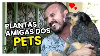 10 PLANTAS amigas dos PETS e CRIANÇAS