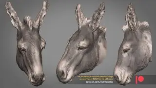 Donkey - Sketch | Timelapse