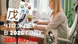 Элемент Личности Земля Ян в 2025 году, куда направить фокус внимания для достижения желаемого