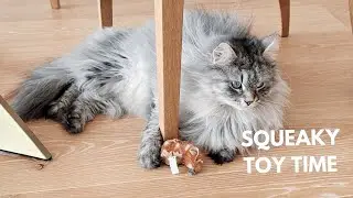 A squeaky toy & chair legs - my cat invites his twin brother to play.