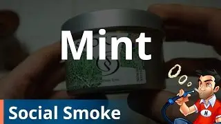 Social Smoke Mint Shisha (Hookah) - Review