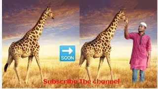 How to make giraffe | photoshop _Bangla | Tutorial | #Giraffe #Freelancer # Bangla vedio