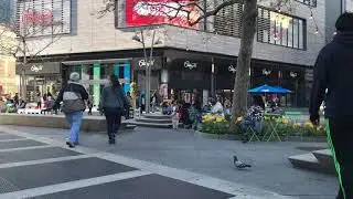 Albee Square-The History