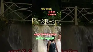 Tiger 🐯 falls live update #courtallam #tigerfalls #live #update #travel #nature #trending #shorts