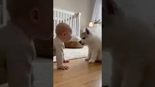 Baby Has the Cutest Conversation with a Puppy! | Adorable Baby and Dog Moment #PuppyTalk #ViralShort